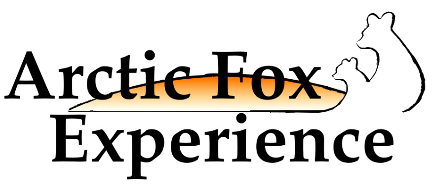 ArcticFox Experience